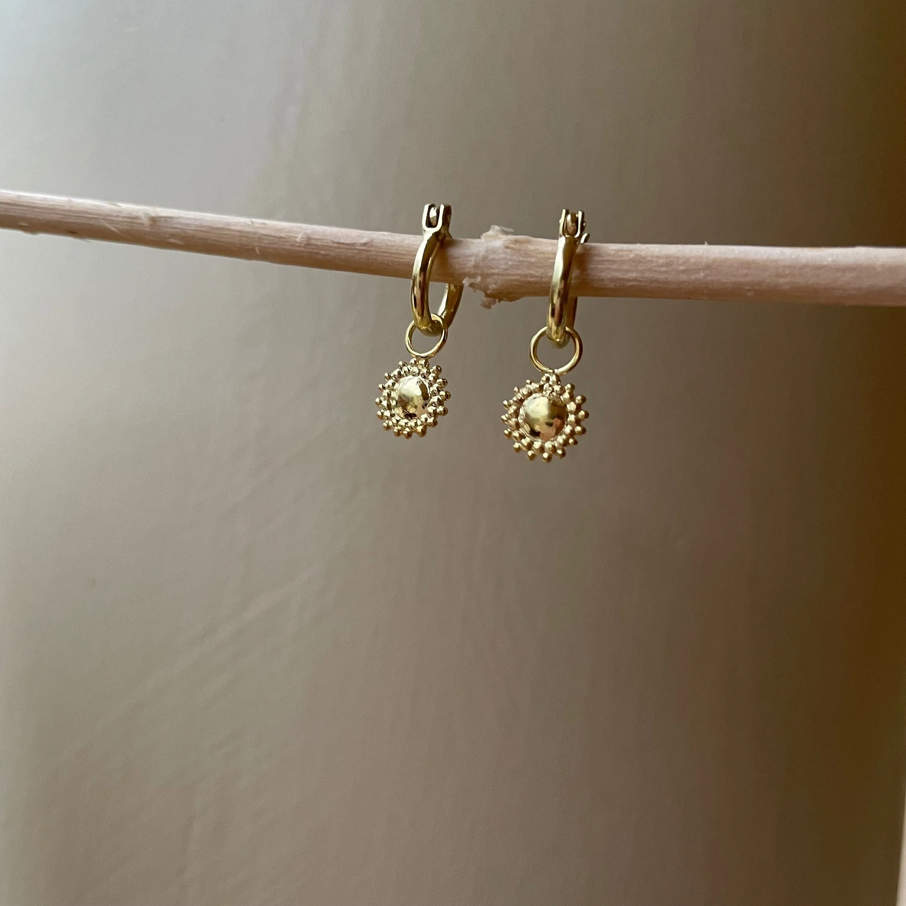 Savanna Gold Hoop Earrings