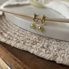 Savanna Gold Hoop Earrings