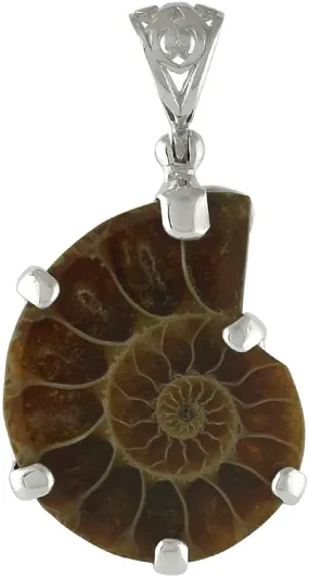 Starborn Petrified ammonite 925 sterling silver pendant with filigree eyelet and tree of life decoration on the back.